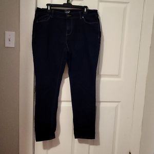Old Navy Flirt Stretch Jeans